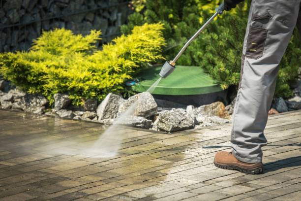 Best Boat and Dock Cleaning  in Juarez, TX