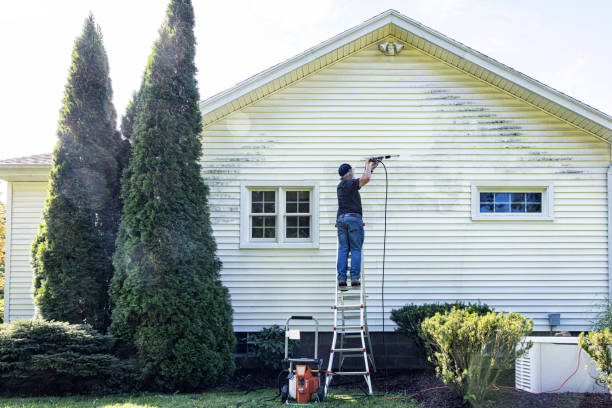 Best Building Exterior Washing  in Juarez, TX